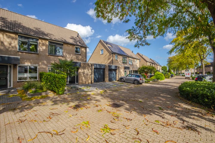 Foto 51 van Golden Delicious 42