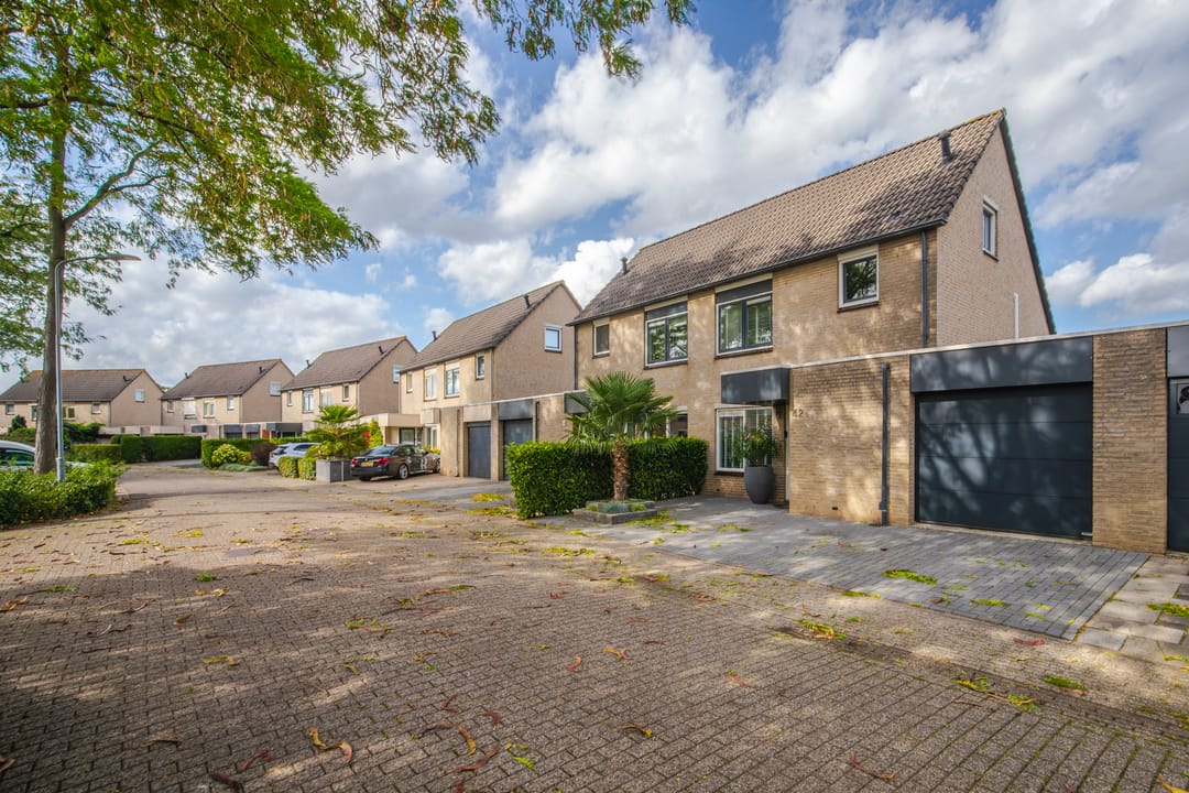 Foto 52 van Golden Delicious 42