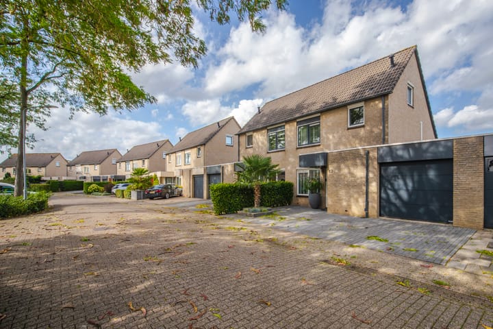 Foto 52 van Golden Delicious 42