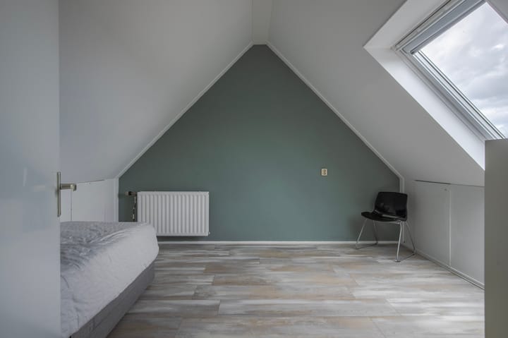 Foto 48 van Golden Delicious 42