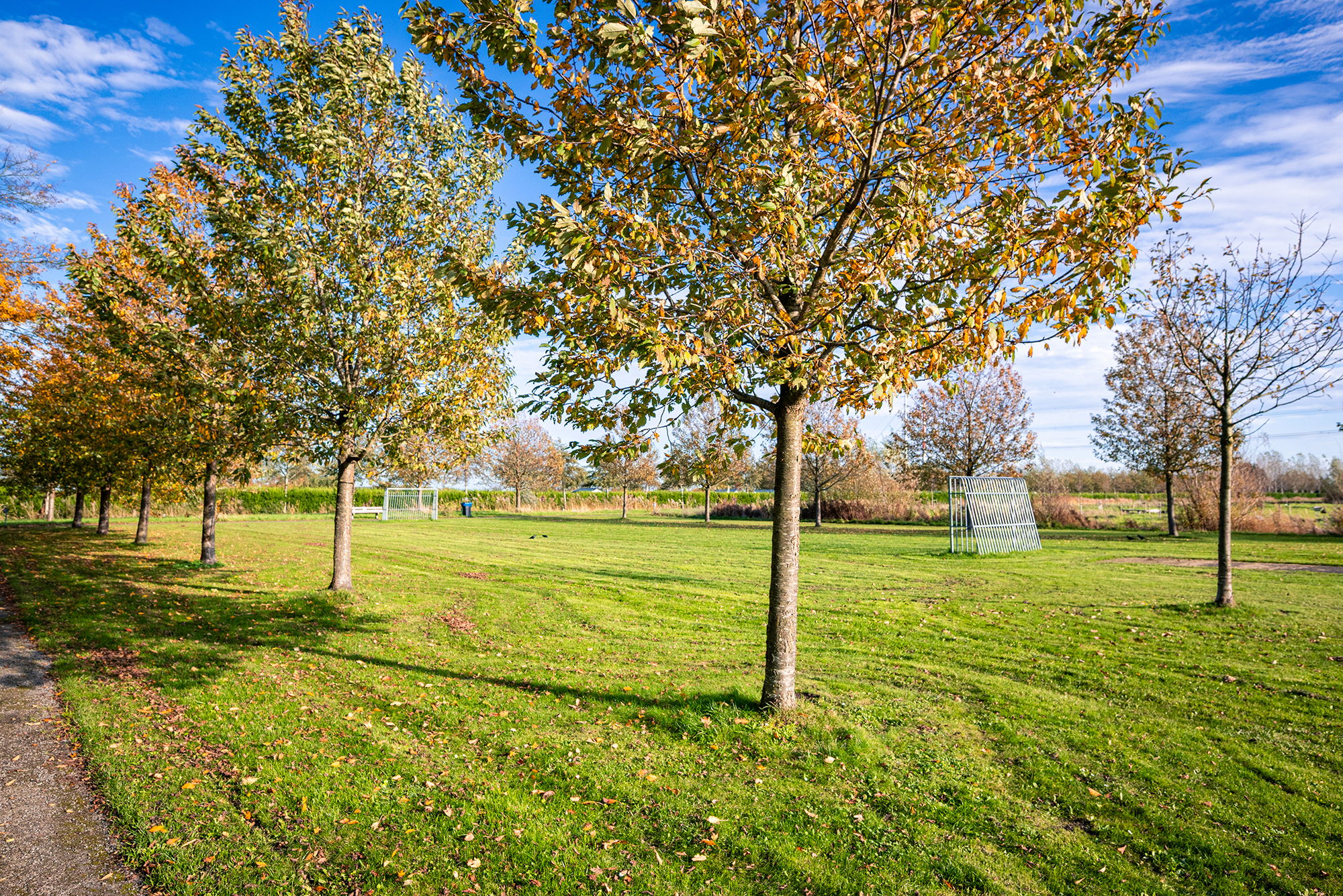 Foto 48 van Vliegersplein 51