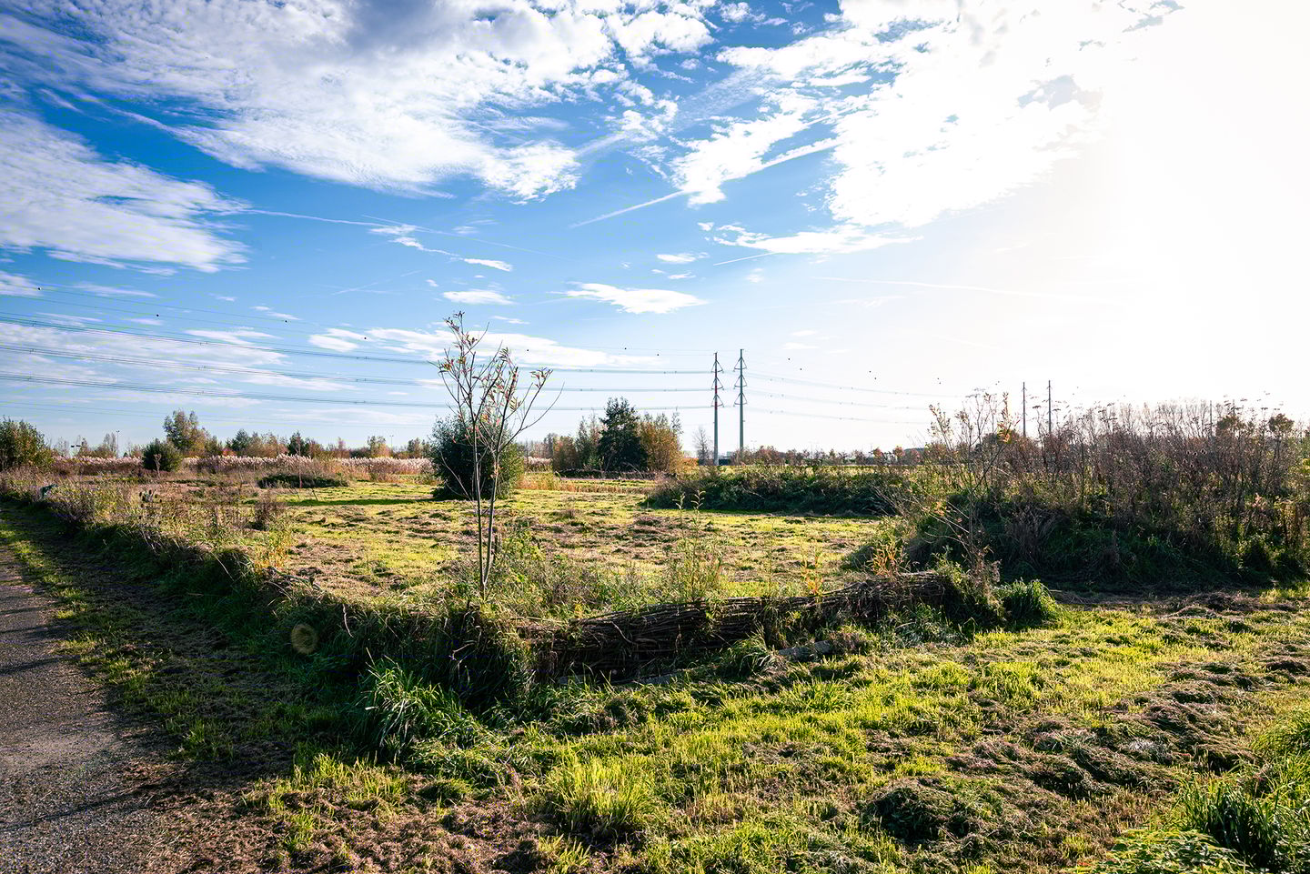 Foto 49 van Vliegersplein 51