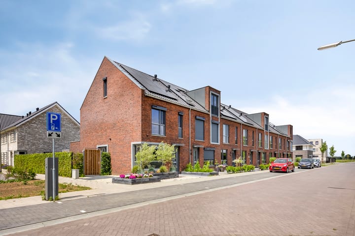 Olympia 37 main image