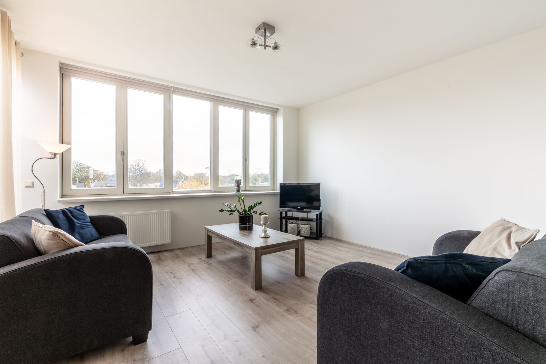 Photo 15 of de Ruy 98