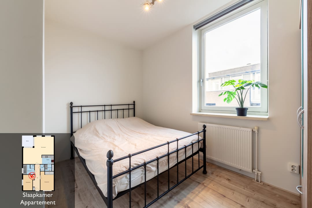 Photo 28 of de Ruy 98