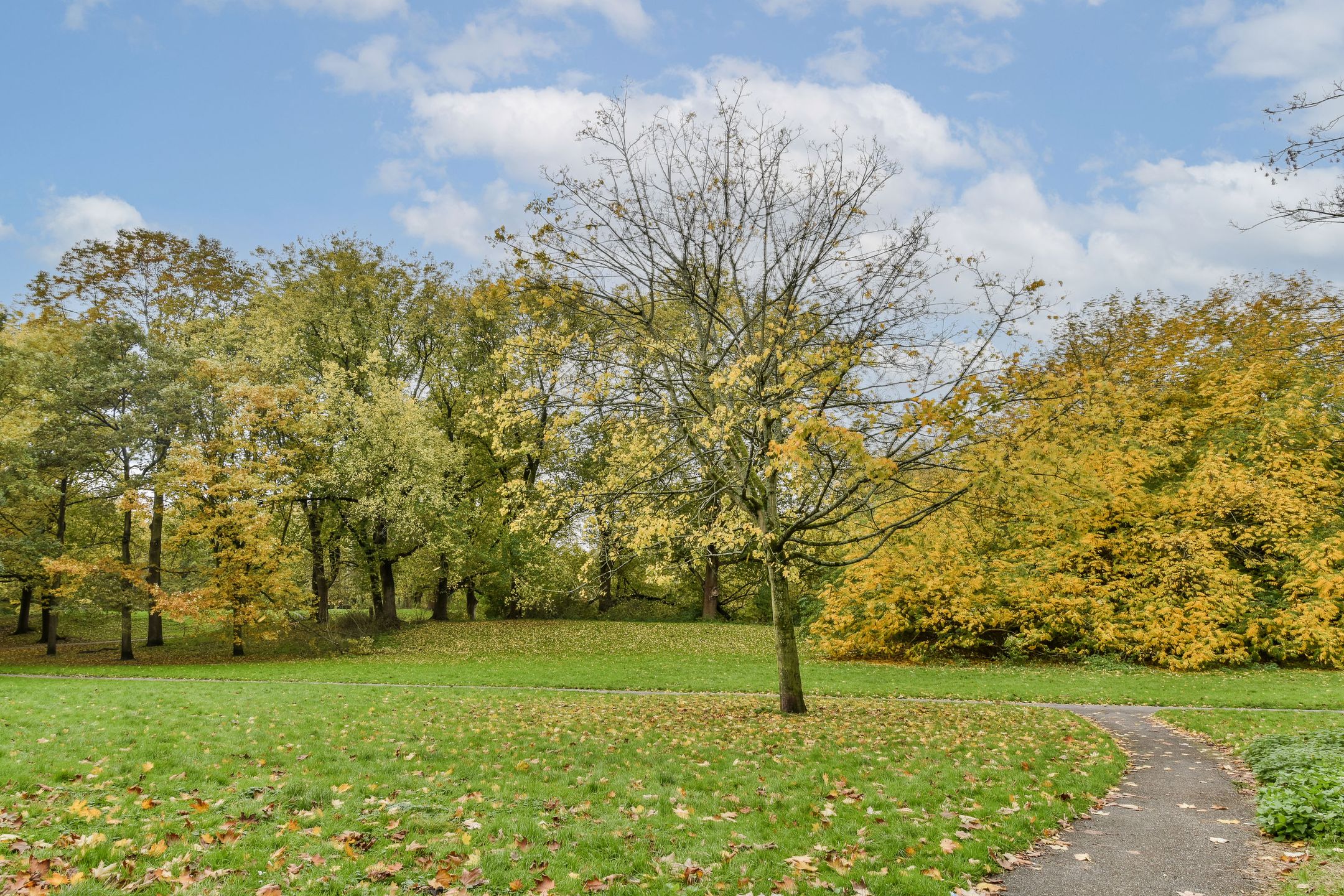 Photo 36 of Van Spilbergenstraat 18-2