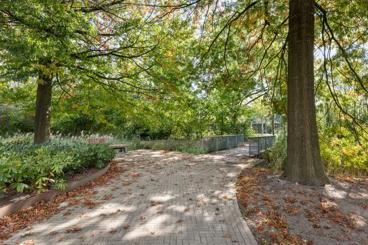 Photo 32 of Cosunpark 10-A