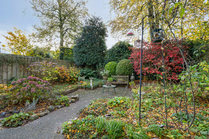 Foto 29 van Kolkrijst 29