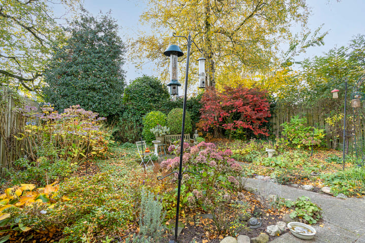 Foto 30 van Kolkrijst 29