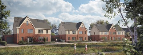 Hartje Haaften main image