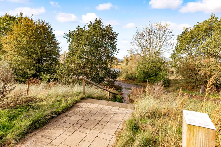 Foto 36 van Zeeduinweg 428