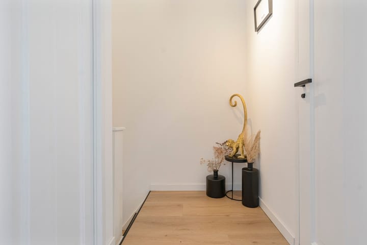 Foto 31 van Van Wassenaerstraat 12