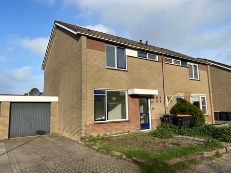 Jan Steenstraat thumbnail