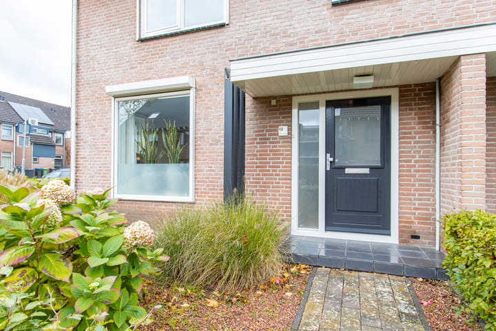 Photo 11 of Snellenweer 12