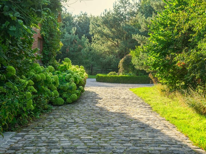 Photo 5 of Binnenweg 4