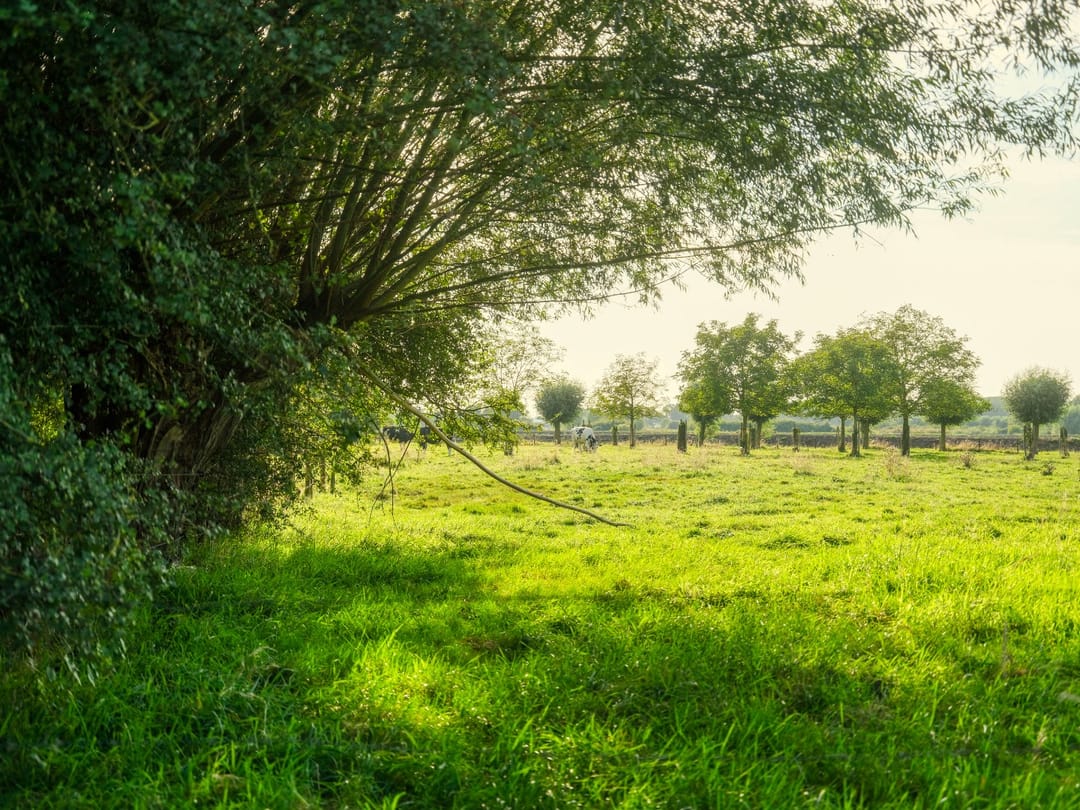 Foto 46 van Binnenweg 4