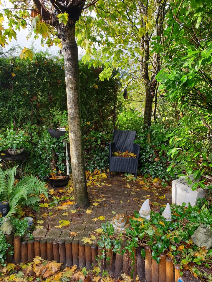 Foto 35 van Ereprijs 89