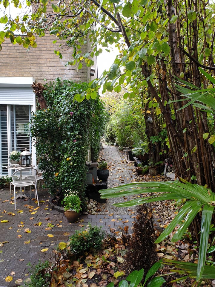 Foto 37 van Ereprijs 89