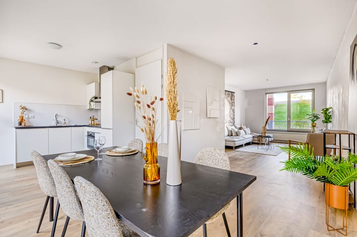 Foto 12 van Palladio 7