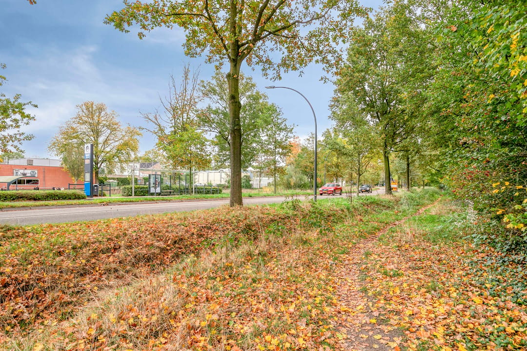 Foto 41 van IJsvogelhof 21