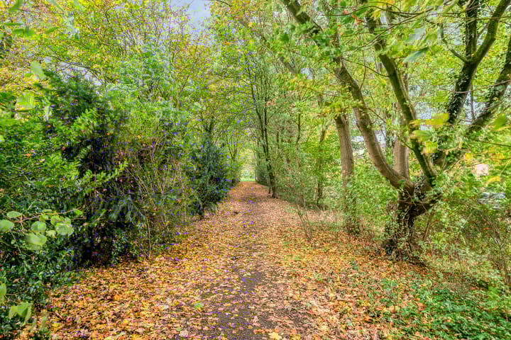 Foto 42 van IJsvogelhof 21