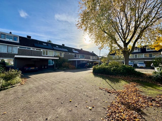 Foto 3 van Beijerland 24