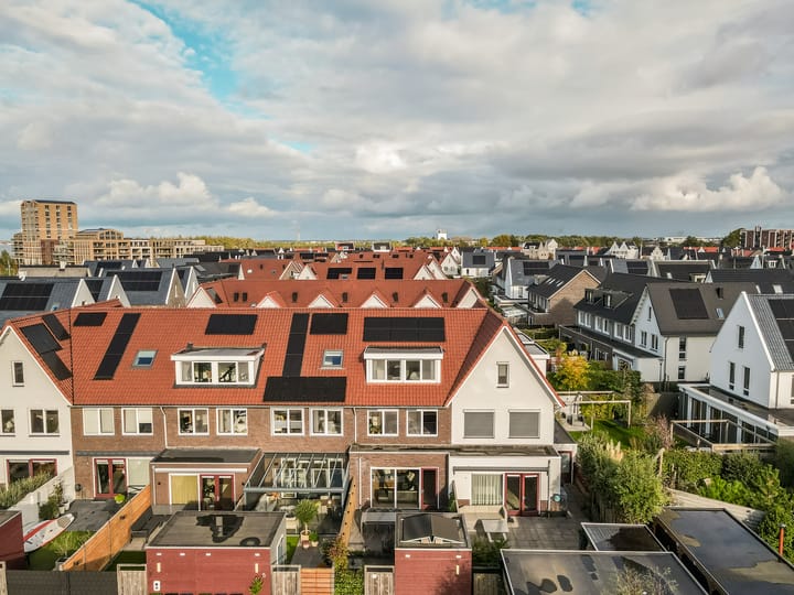 Foto 40 van Vogelzand 3