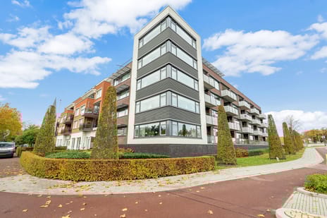 Grotestraat thumbnail