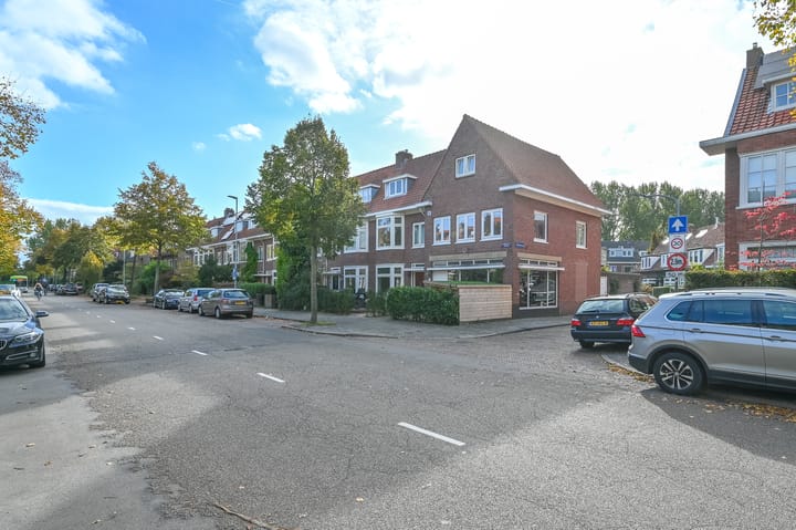 Foto 45 van Duinoordstraat 59