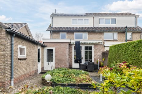 undefined main image