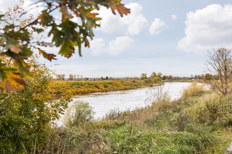 Lindendriesstraat 1 secondary image