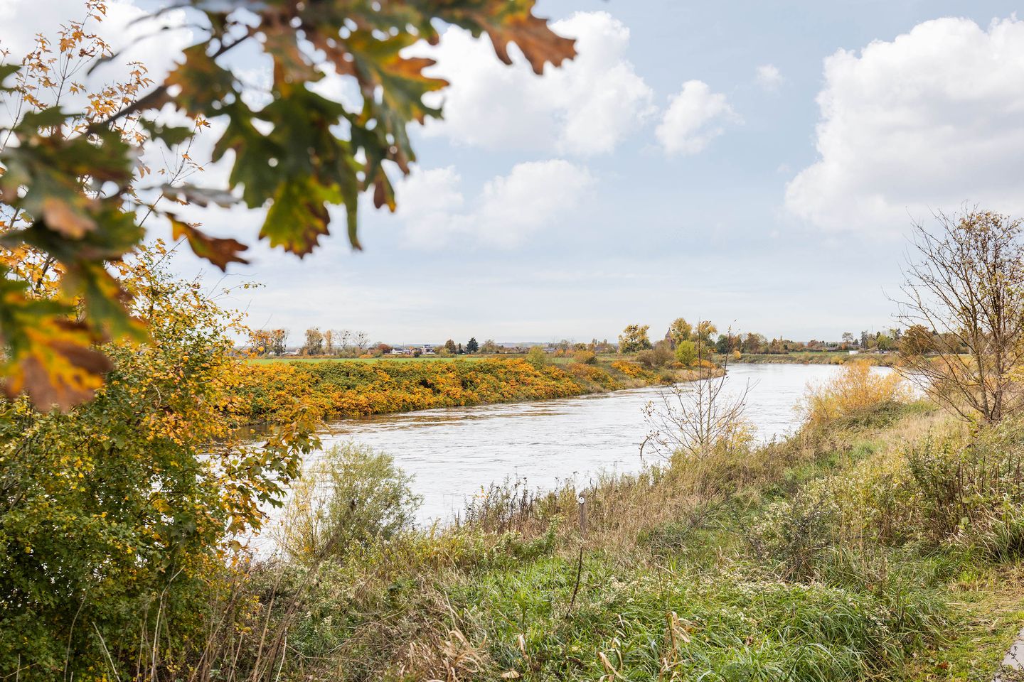 Foto 74 van Lindendriesstraat 1