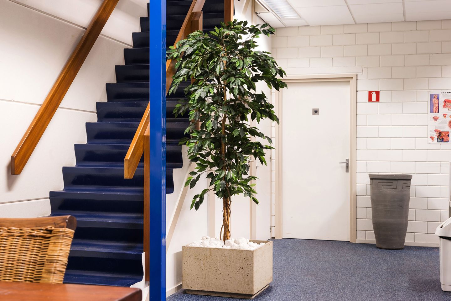 Bekijk foto 5 van Steenoven 4-B