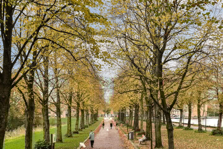 Photo 26 of John Franklinstraat 57-3