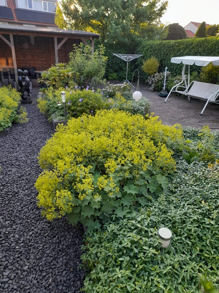 Foto 42 van Ansfriduslaan 38