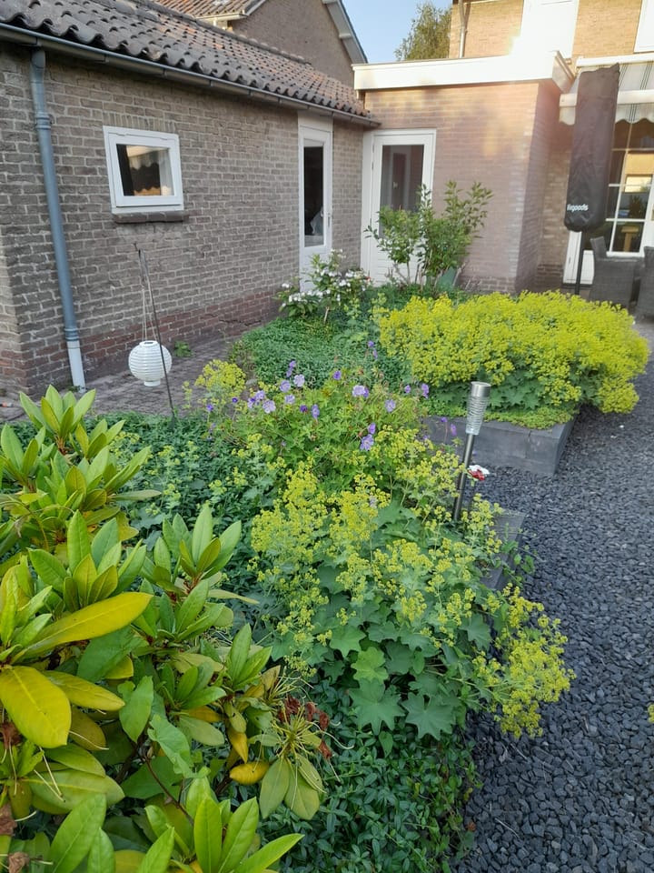 Foto 43 van Ansfriduslaan 38