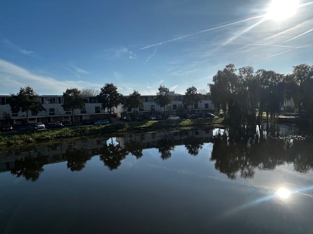 Foto 4 van Waterdreef 252