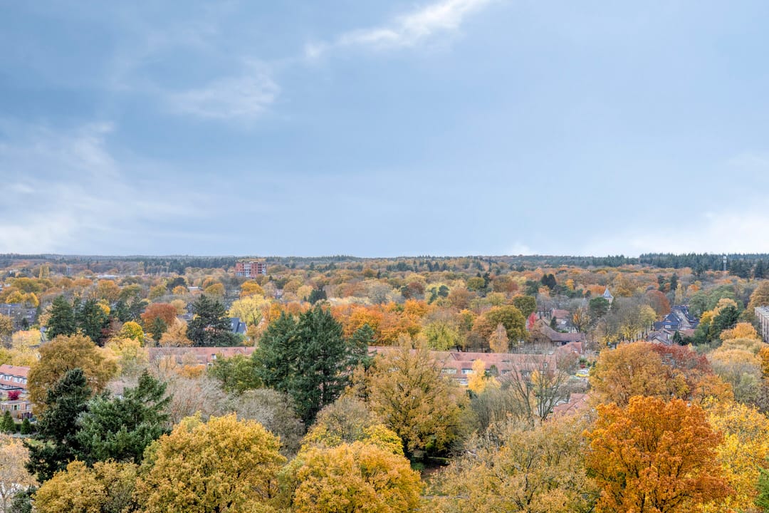 Foto 26 van Henri Dunantlaan 205