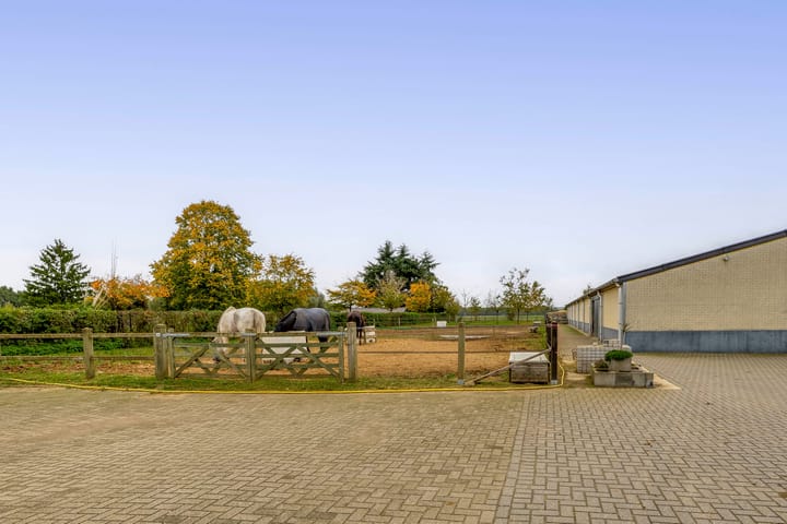 Foto 34 van Thuserhof 22