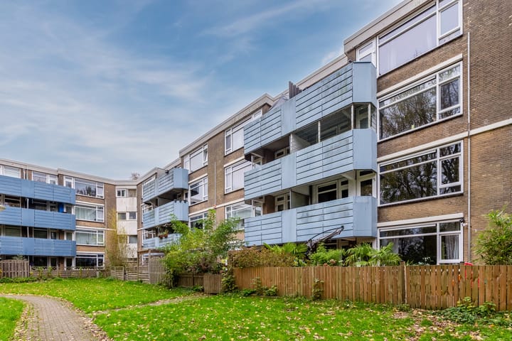 Midscheeps 37 main image