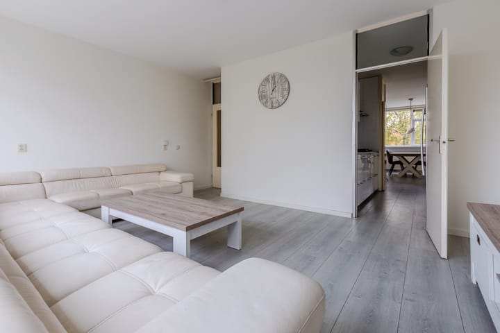 Photo 6 of Midscheeps 37