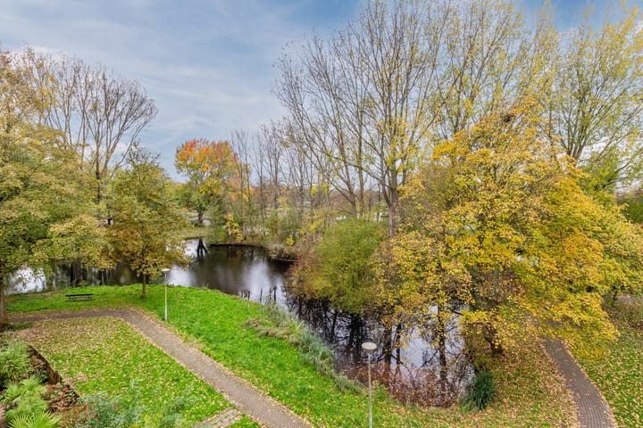 Photo 29 of Midscheeps 37