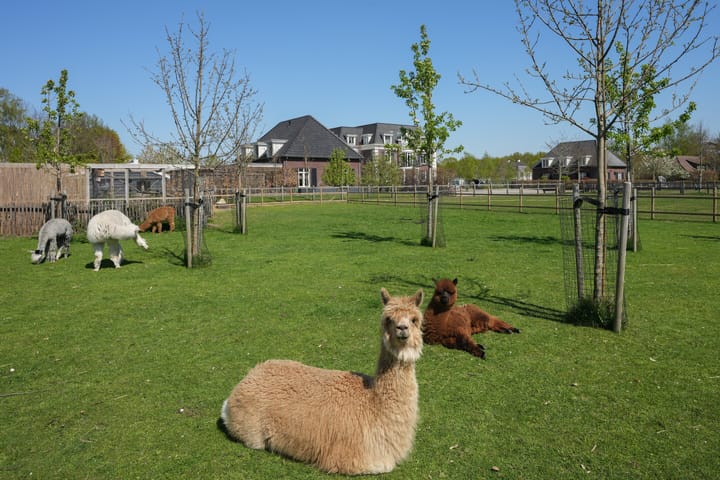 Photo 31 of Akkerweg 19