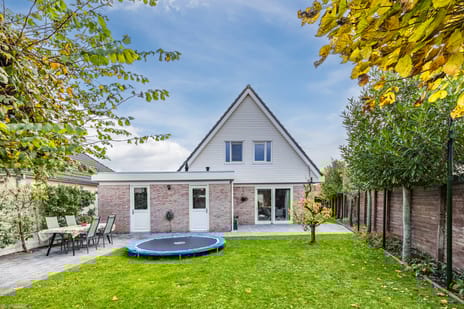 Meerkoet 5 tertiary image