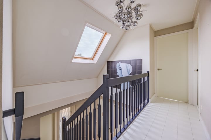 Foto 20 van Meerkoet 5