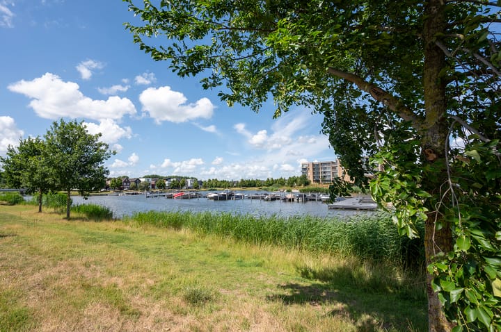 Foto 53 van Boelijn 194