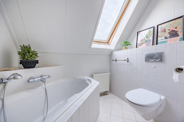 Foto 29 van Meerkoet 5