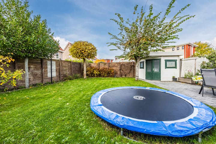 Foto 33 van Meerkoet 5