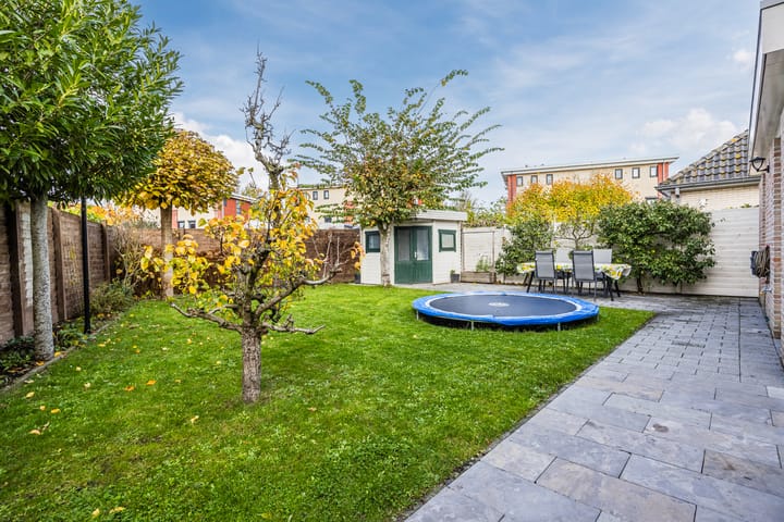 Foto 34 van Meerkoet 5