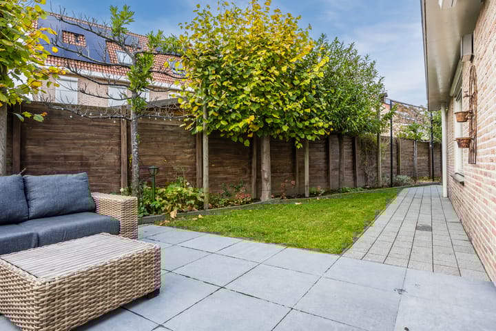 Foto 37 van Meerkoet 5